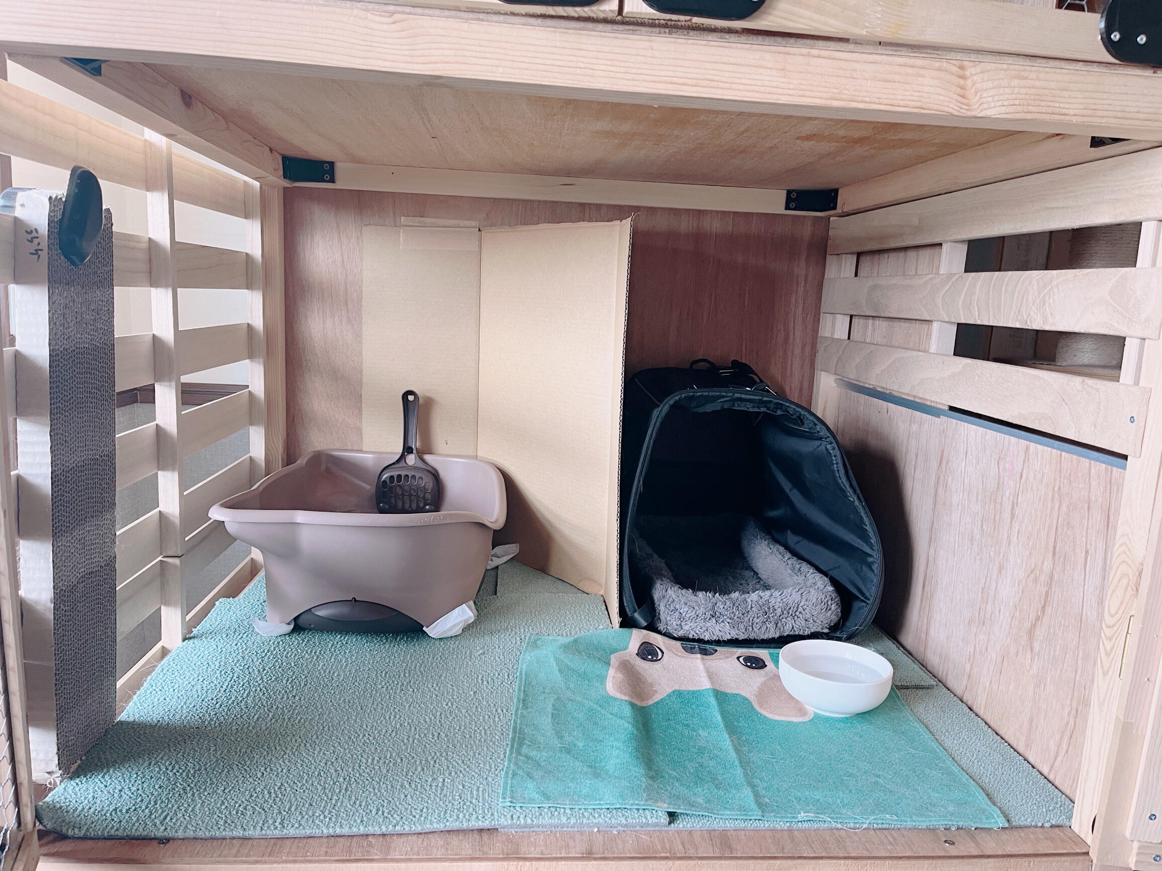 kitten cage